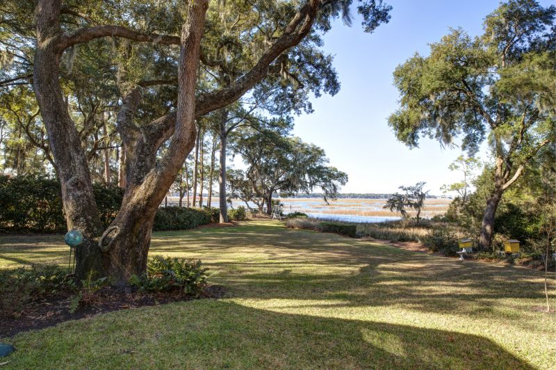 Bushes Clearing in Atlanta, GA