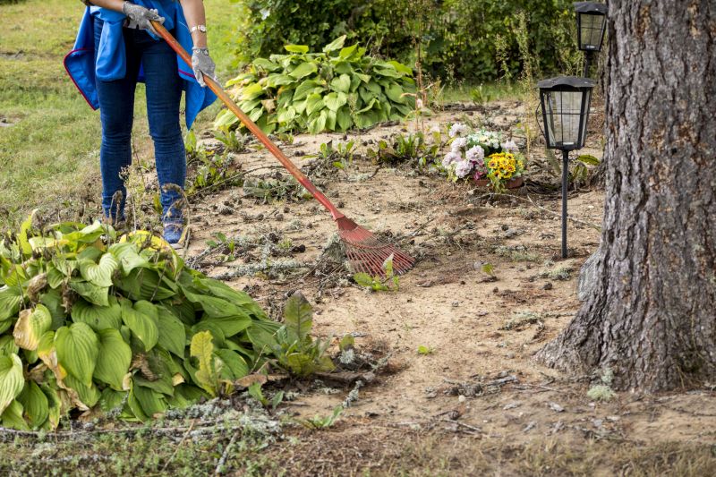Farm Clearing in Houston, TX
